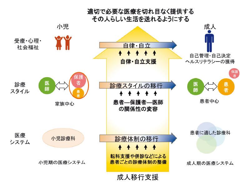 移行プロセス支援の概要図